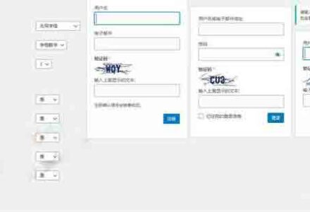 CJ0048 WordPress表单验证码插件-Captcha Code汉化版-有用乐享