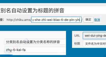 CJ0062 WordPress 文章别名、分类别名插件 Wenprise Pinyin Slug-有用乐享