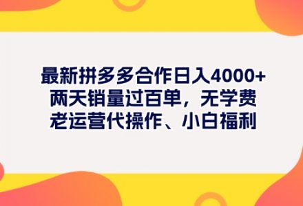 ZX0030 最新拼多多项目日入4000+两天销量过百单，无学费、老运营代操作、小白福利-有用乐享