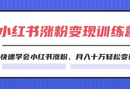 WZ5165 2024小红书涨粉变现训练营，快速学会小红书涨粉，月入十万轻松变现(40节)-有用乐享