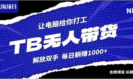 WZ5190 淘宝无人直播最新玩法，不违规不封号，轻松月入3W+-有用乐享